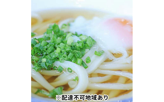 香川県東かがわ市のふるさと納税 【農林水産大臣賞 受賞】吉本製麺所のこだわり「讃岐うどんセット」 麺類