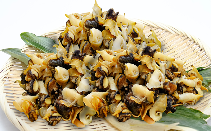 北海道 湧別沖産 冷凍ボイル 毛つぶ1.5kg(300g×5パック) 魚介類 