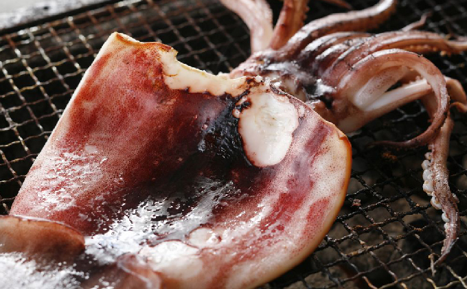 【ふるさと納税】京都 ・ 天橋立 海鮮3種詰め合わせセット 特大ホッケ サザエ串 イカ一夜干し 海鮮 魚貝類 魚 サザエ いか イカ ホッケ 一夜干し 干物 