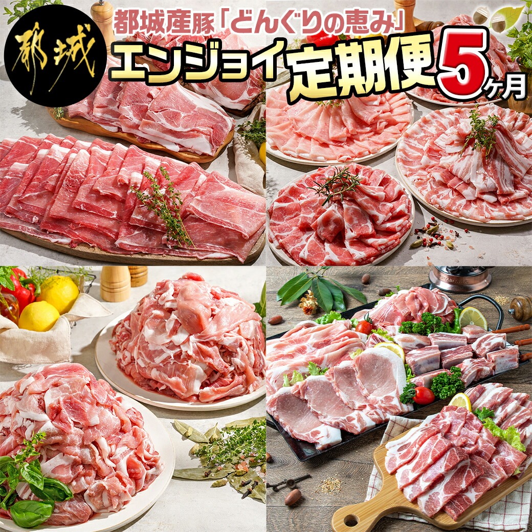「どんぐりの恵み豚」エンジョイ定期便(5ヶ月)_T40(5)-1102