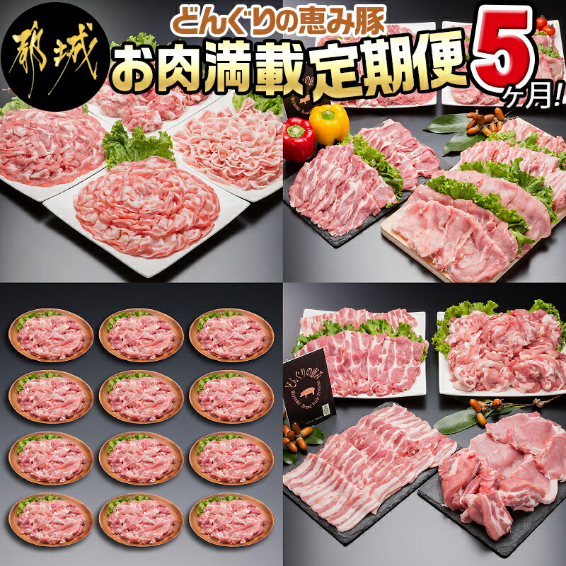 「どんぐりの恵み豚」お肉満載定期便(5ヶ月)_T60(5)-1102