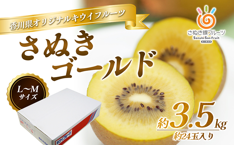 さぬき ゴールドキウイ  L～４Lサイズ16玉～ 24玉 3.5kg ゴールデンキウイ キウイフルーツ キウイ フルーツ 果物 くだもの 果実 旬の果物 旬のフルーツ 香川 香川県 東かがわ市