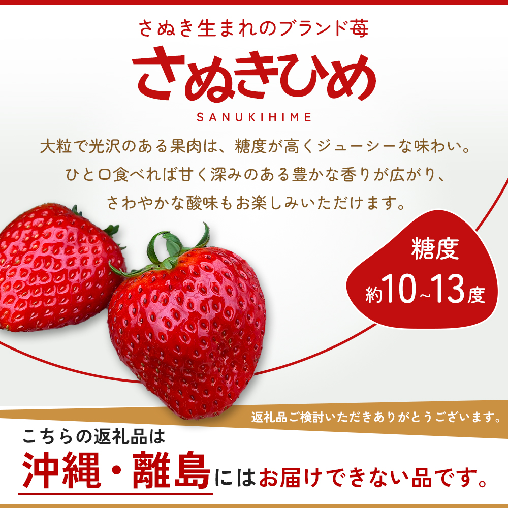 【ふるさと納税でいちご】香川県のオリジナル品種「さぬきひめ」1kg【フルーツ・果物類・苺・イチゴ・さぬき姫・取り寄せ・送料無料・糖度・10～13度・甘い・農園・特産品・地域ブランド・高レビュー・秀品・大粒・デザート・人気・ストロベリー・国産・新鮮・冷蔵便】