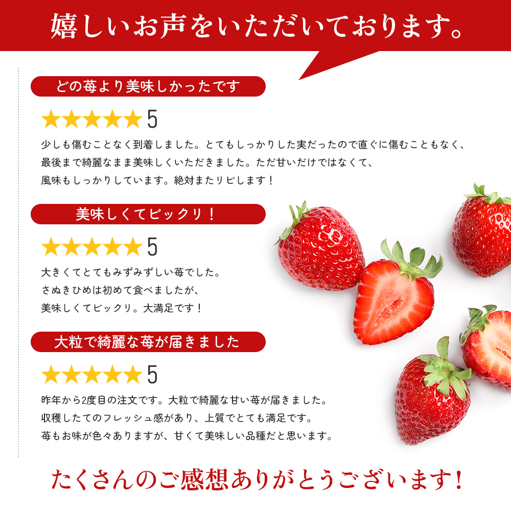 《高評価》 香川県オリジナル品種！ いちご【さぬきひめ】2kg（ フルーツ 果物類 苺 さぬき姫 取り寄せ 糖度 甘い 農園 特産品 秀品 大粒 デザート 人気 ストロベリー 冷蔵便 ） 香川県東かがわ市 