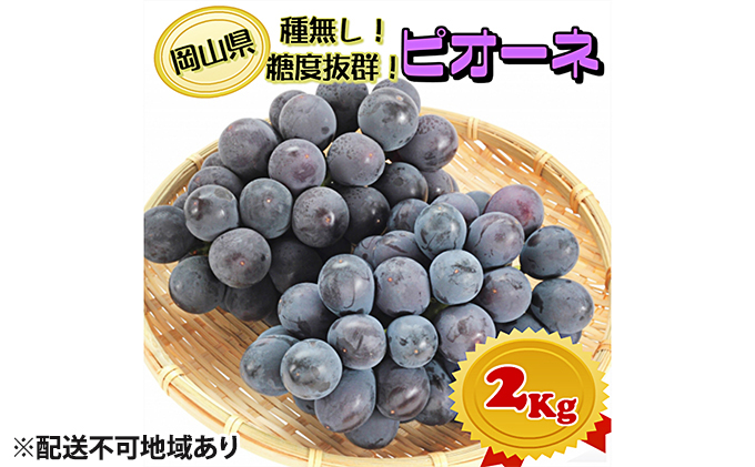 yRʖszԂǂ 2026N s\ j[ sI[ly9{`z2kgi2[`5[jGi xQI 햳 uhE   RY Y t[c ʕ Mtg ʕ