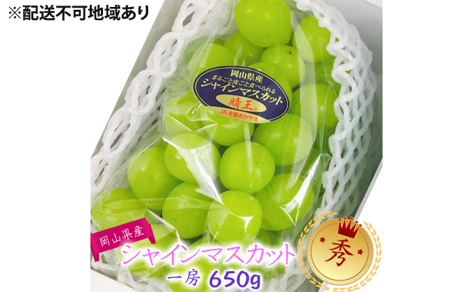 ぶどう 2026年 先行予約 シャインマスカット 晴王【8月上旬～順次発送分】1房（約650g）秀品【配送不可：離島】 果物類 フルーツ 果物 葡萄 