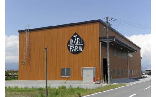 【新米】【7年産】すっごいもちもち　「しきゆたか」　玄米【30kg×1袋】【C008W】