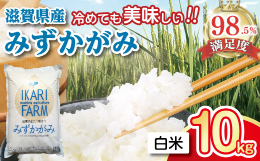 【新米】【7年産】冷めても美味しいあっさりとした味わい「みずかがみ」白米【10kg（5kg×2袋）】【C015W】