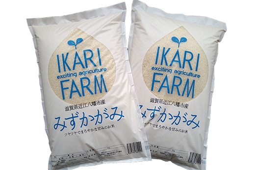 【7年産】冷めても美味しいあっさりとした味わい「みずかがみ」白米【10kg（5kg×2袋）】【C015W】