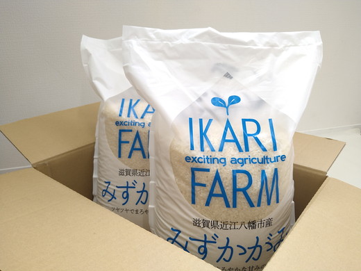 【新米】【7年産】冷めても美味しいあっさりとした味わい「みずかがみ」白米【10kg（5kg×2袋）】【C015W】