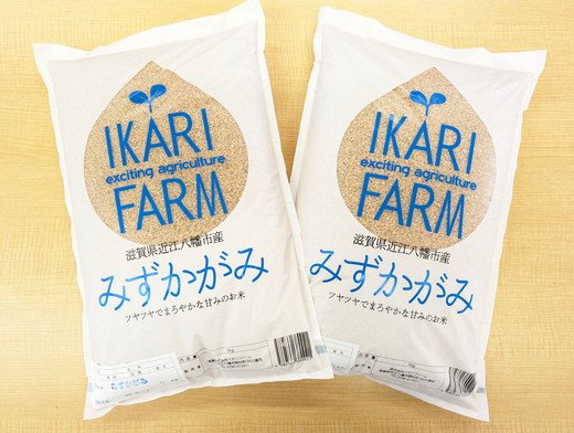 新米】【7年産】冷めても美味しいあっさりとした味わい「みず