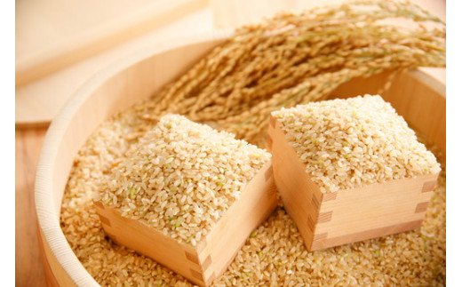 【新米】【7年産】冷めても美味しいあっさりとした味わい「みずかがみ」玄米【30kg×1袋】【C019W】