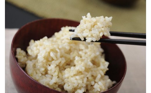 【新米】【7年産】冷めても美味しいあっさりとした味わい「みずかがみ」玄米【30kg×1袋】【C019W】