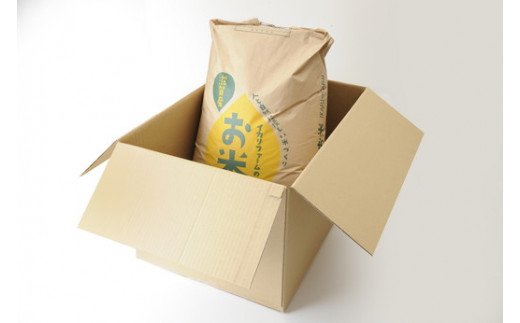 【新米】【7年産】冷めても美味しいあっさりとした味わい「みずかがみ」玄米【30kg×1袋】【C019W】