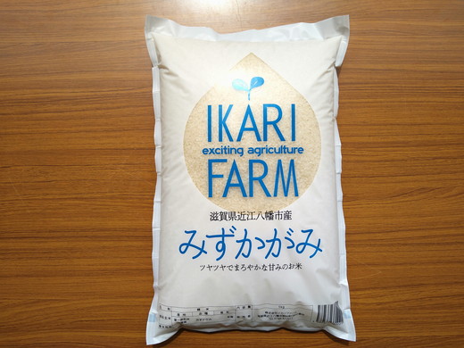 【新米】【7年産】冷めても美味しいあっさりとした味わい「みずかがみ」白米【5kg】【C014W】