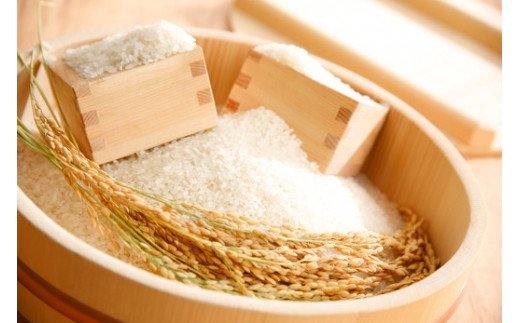 【新米】【7年産】冷めても美味しいあっさりとした味わい「みずかがみ」白米【5kg】【C014W】