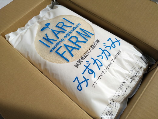 【新米】【7年産】冷めても美味しいあっさりとした味わい「みずかがみ」白米【5kg】【C014W】