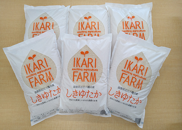 【7年産】すっごいもちもち「しきゆたか」白米定期便　１２カ月で５kgを６回お届け（2カ月に1回）【C012W】