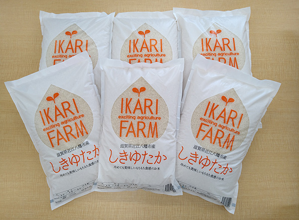 【7年産】すっごいもちもち「しきゆたか」白米定期便　６カ月で５kgを６回お届け（１カ月に1回）【C013W】