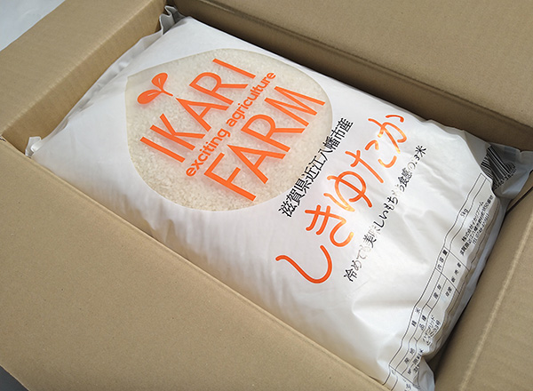 【7年産】すっごいもちもち「しきゆたか」白米定期便　６カ月で５kgを６回お届け（１カ月に1回）【C013W】