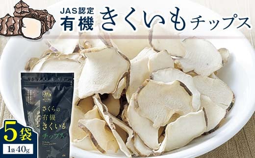 ykCcze`bvX@5ܓ kCY n-0081