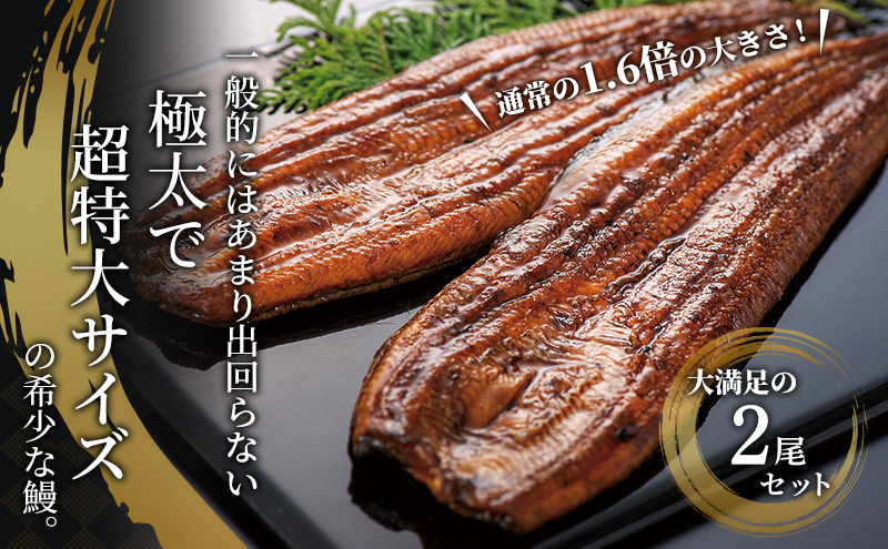 静岡県浜松市のふるさと納税 国産うなぎ 浜名湖産 蒲焼き 2尾 (200g以上×2本入) 山椒 たれ セット 詰め合わせ 海老仙 国産ウナギ 国産 うなぎ ウナギ 鰻 うなぎの蒲焼 鰻の蒲焼き 小分け おすすめ 贈答用 土用の丑の日 静岡 静岡県 浜松市
