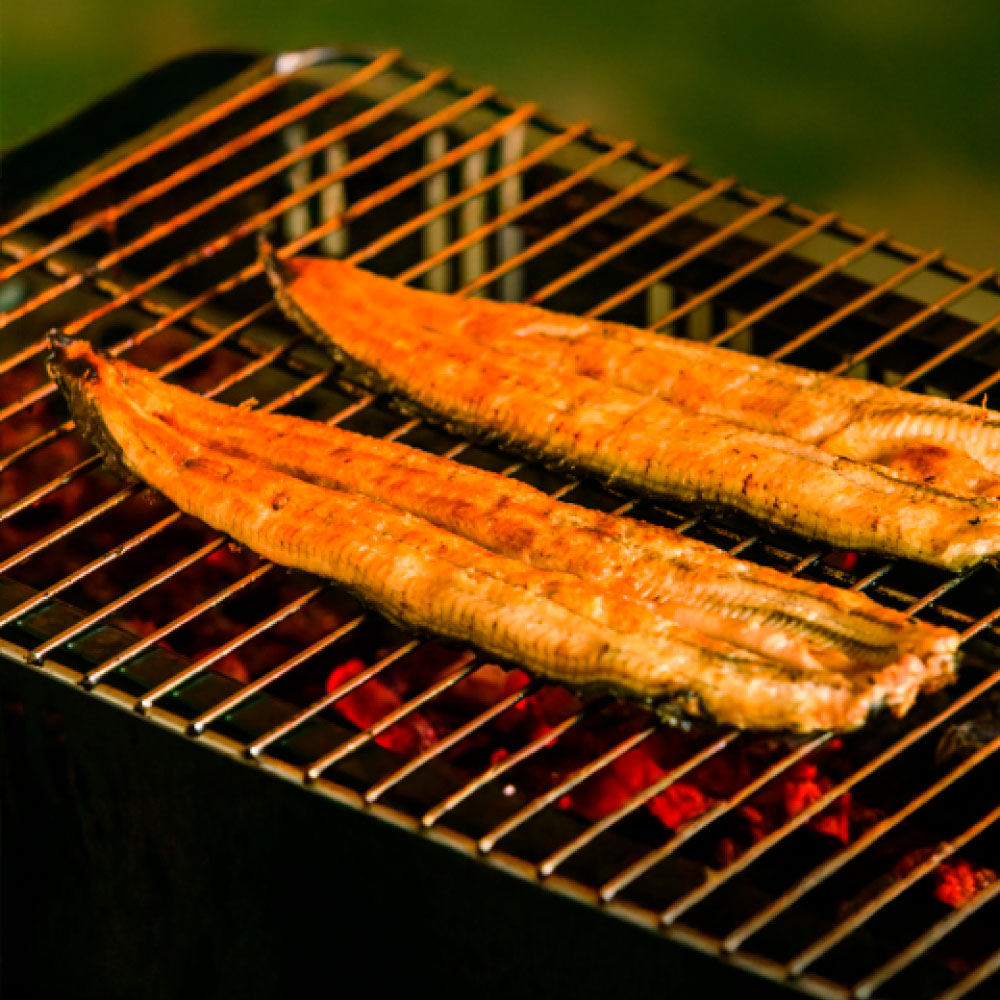 高知県田野町のふるさと納税 【四国一小さなまち】 田野町産うなぎの蒲焼き（小） 2本 タレ付き 山椒付き うなぎ 鰻 ウナギ 蒲焼き かば焼き 無頭 おいしい 国産 お取り寄せ 冷凍 配送