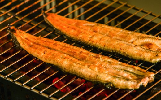 高知県田野町のふるさと納税 田野町産うなぎの蒲焼き（大）2本 タレ付き 山椒付き うなぎ 鰻 ウナギ 蒲焼き かば焼き 無頭 おいしい 国産 お取り寄せ 冷凍 配送