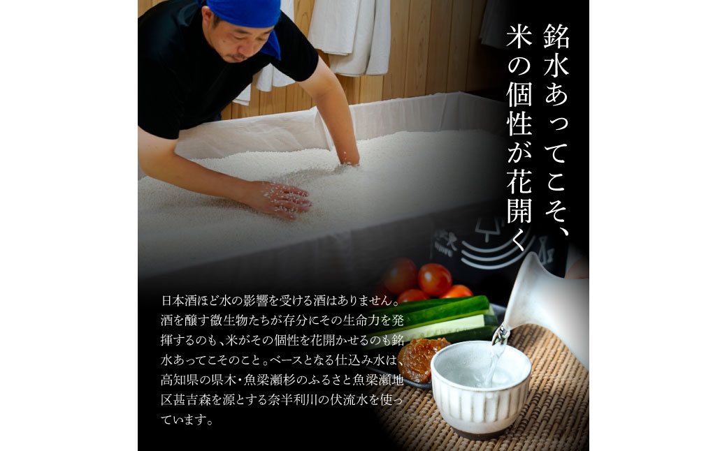 高知県田野町のふるさと納税 ★四国一小さなまちの地酒★ 美丈夫 特別純米酒＆特別本醸造 ２本セット 1800ml×2本 お歳暮 日本酒 一升瓶 お酒 酒 おさけ 1.8L 度数 14度 15度 おいしい 地酒 男性 父 誕生日