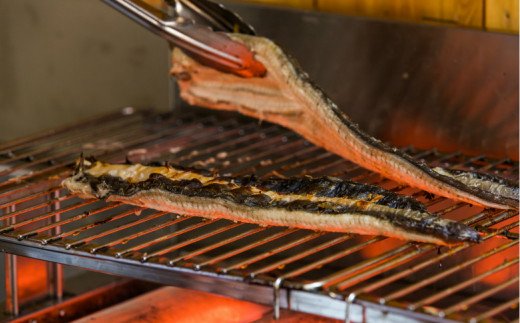 高知県田野町のふるさと納税 田野町産うなぎのひつまぶし（10パック）