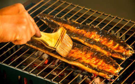 高知県田野町のふるさと納税 田野町産うなぎの蒲焼き(大）10本 タレ付き 山椒付き うなぎ 鰻 ウナギ 蒲焼き かば焼き 無頭 おいしい 国産 お取り寄せ 冷凍 配送