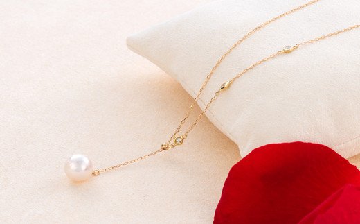 �y�O�d�����H�s�zQ-22�A�R���^��y���_���g