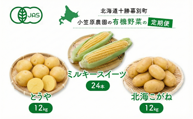 小笠原農園の有機野菜 定期便 夏「とうもろこし」ミルキースイーツ24本・秋「じゃがいも2種」とうや12kg・北海こがね12kg《2026年8月出荷開始》北海道 十勝 幕別【 北海道 スイートコーン コーン とうもろこし じゃがいも 芋 セット 野菜 】
