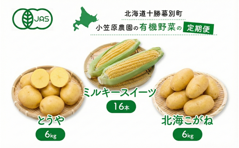 小笠原農園の有機野菜 定期便 夏「とうもろこし」ミルキースイーツ16本・秋「じゃがいも2種」とうや6kg・北海こがね6kg《2026年8月出荷開始》北海道 十勝 幕別【 北海道 スイートコーン コーン とうもろこし じゃがいも 芋 セット 野菜 】