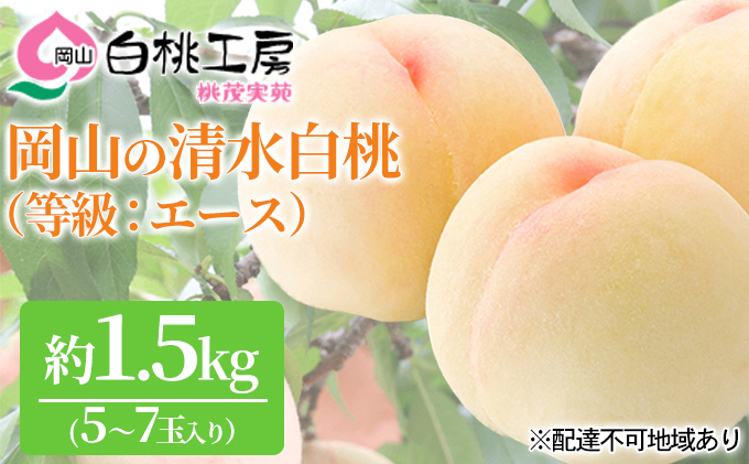 【岡山県赤磐市】桃 2026年 先行予約 清水 白桃 等級 エース 約1.5kg 5〜7玉入りもも モモ 岡山 国産 フルーツ 果物 ギフト 桃茂実苑 果肉