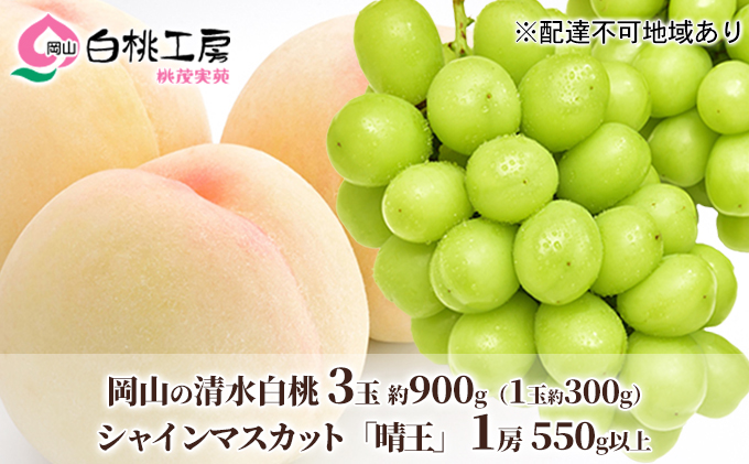 �y���R���Ԕ֎s�z�� �Ԃǂ� 2026�N ��s�\�� �������� 3�ʍ��v ��900g�i1�ʖ�300g�j �V���C���}�X�J�b�g ���� 1�[ 550g�ȏ� �l���� ���� ���� ���� �u�h�E �V���C�� �}�X�J�b�g ���R���Y ���Y �t���[�c �ʕ� ���Ύ���