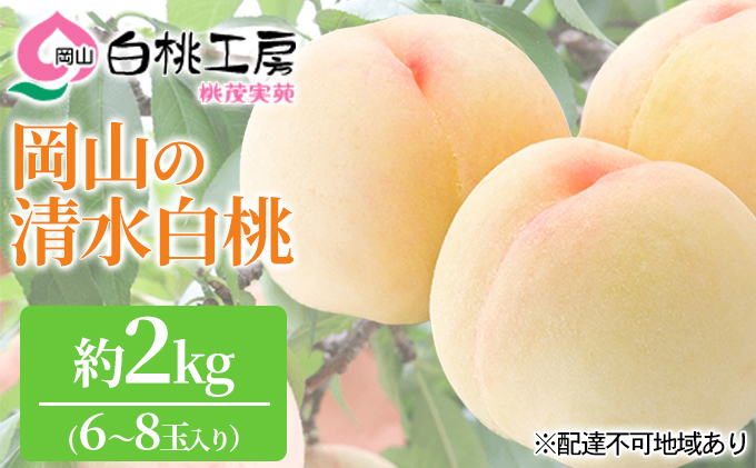 yRԔ֎sz 2026N s\   2kg 6`8   R Y t[c ʕ Mtg Ύ ʓ