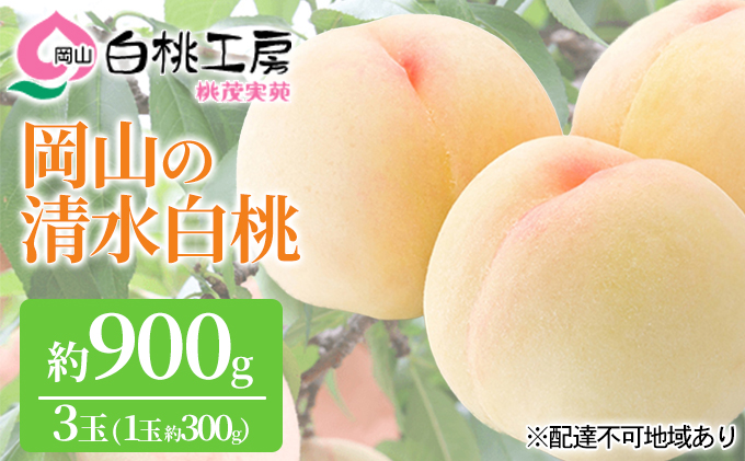 桃 2026年 先行予約 清水白桃 3玉 合計約900g（1玉約300g） 白桃 もも モモ 岡山県産 国産 フルーツ 果物 ギフト 桃茂実苑 果肉 