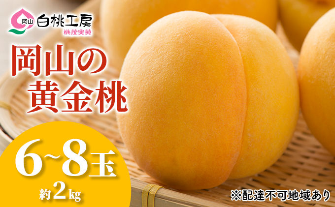 【岡山県赤磐市】桃 2026年 先行予約 黄金桃 2kg 6〜8玉 もも モモ 岡山 国産 フルーツ 果物 ギフト 桃茂実苑 果肉