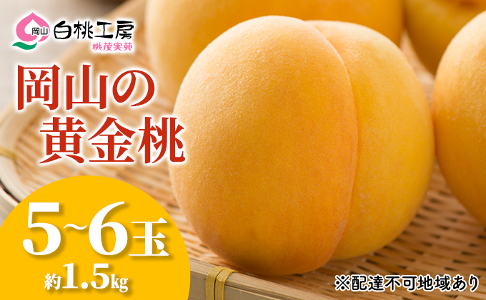 桃 2025年 先行予約 黄金桃 1.5kg 5～6玉 もも モモ 岡山 国産 フルーツ 果物 ギフト 桃茂実苑 果肉 
