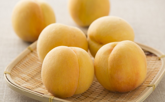 桃 2026年 先行予約 黄金桃 1.5kg 5～6玉 もも モモ 岡山 国産 フルーツ 果物 ギフト 桃茂実苑 果肉 