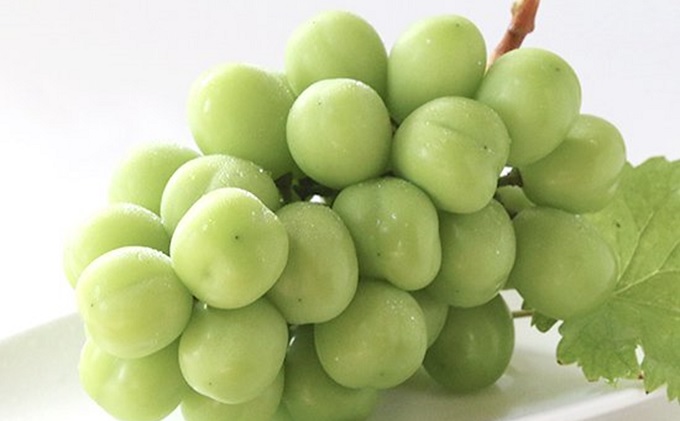 岡山県赤磐市のふるさと納税 ぶどう 2025年 先行予約 シャイン マスカット 晴王 2房 （1房550g以上） マスカット ブドウ 葡萄 岡山県産 国産 フルーツ 果物 ギフト桃茂実苑 果物類