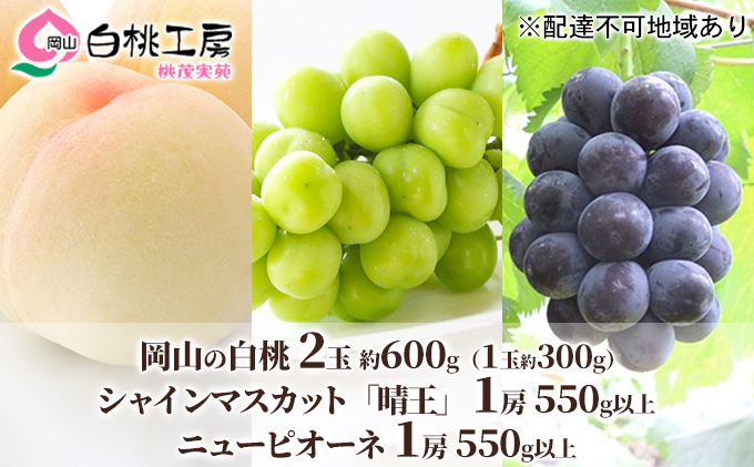 岡山県赤磐市のふるさと納税 桃 ぶどう 2025年 先行予約 白桃 2玉 合計約600g （1玉約300g） シャインマスカット 晴王 1房 550g以上 もも 葡萄 詰合せ 岡山 国産 フルーツ 果物 ギフト 桃茂実苑