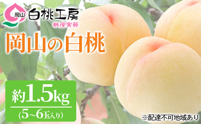 【岡山県赤磐市】桃 2026年 先行予約 白桃 1.5kg 5〜6玉 もも モモ 岡山 国産 フルーツ 果物 ギフト 桃茂実苑 果肉