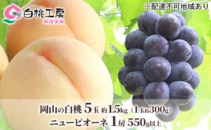 岡山県赤磐市のふるさと納税 桃 ぶどう 2025年 先行予約 白桃 5玉 合計約1.5kg （1玉 約300g） ニュー ピオーネ 1房 550g もも 葡萄 詰合せ 岡山 国産 フルーツ 果物 ギフト 桃茂実苑