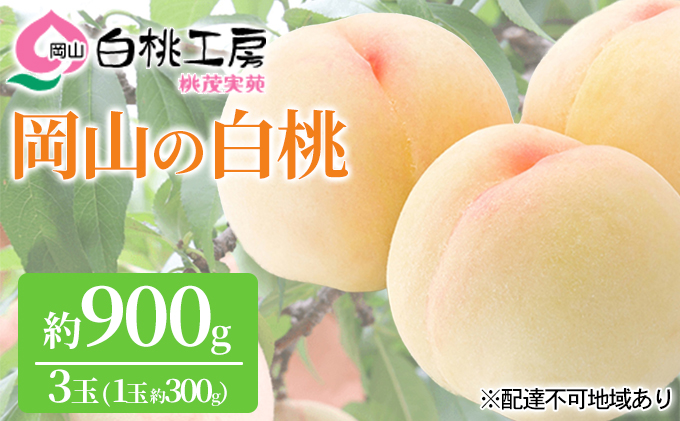 �y���R���Ԕ֎s�z�� 2026�N ��s�\�� ���� 3�� ���v��900g�i1�ʖ�300g�j ���� ���� ���R���Y ���Y �t���[�c �ʕ� �M�t�g ���Ύ��� �ʓ�