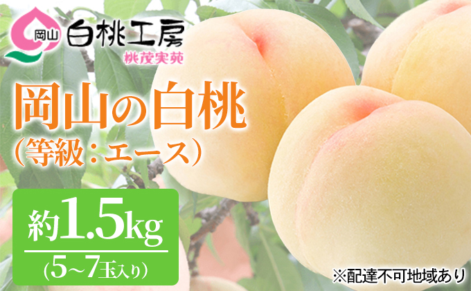 yRԔ֎sz 2026N s\   G[X 1.5kg 5`7ʓ   R Y t[c ʕ Ύ ʓ