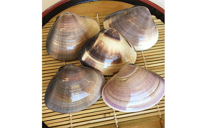 海の駅九十九里　駅長おすすめBOX 魚介類 魚貝類 加工食品 はまぐり 蛤 