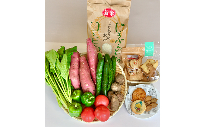 海の駅九十九里　大地のめぐみセット お米 コシヒカリ 野菜 詰合せ お菓子 焼菓子 クッキー 