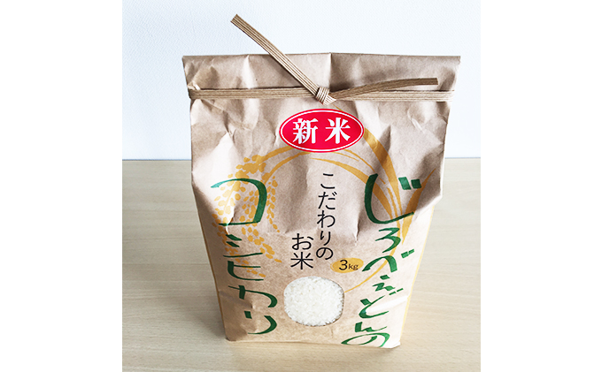 海の駅九十九里　大地のめぐみセット お米 コシヒカリ 野菜 詰合せ お菓子 焼菓子 クッキー 